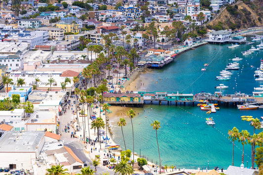 Coastal Travel: A Solo Journey to the West Coast
