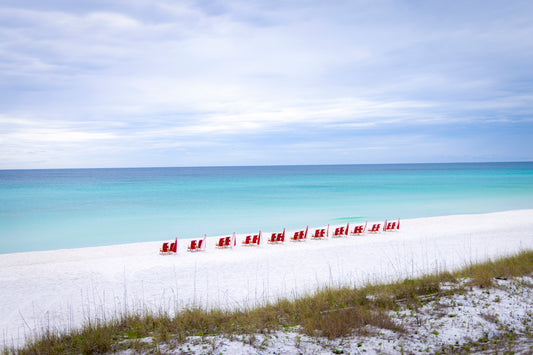 Rain in Paradise - Fine Art Print