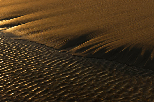 Morning Shadows - Fine Art Print
